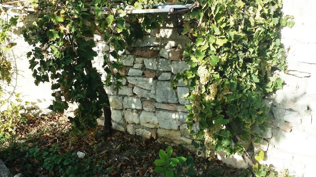 Sole E Fiori Di Sicilia Leilighet Valderice Eksteriør bilde