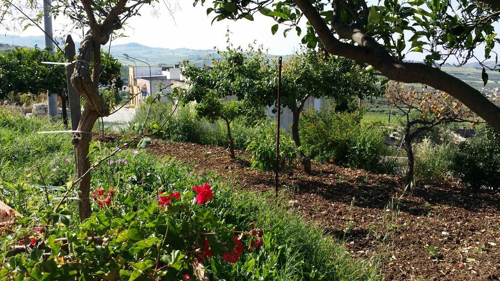Sole E Fiori Di Sicilia Leilighet Valderice Eksteriør bilde